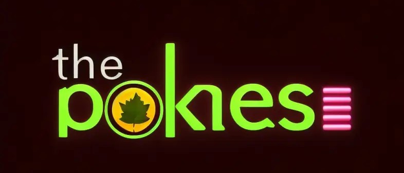 Discover the Excitement of Online Gambling with thepokies Discover the Excitement of Online Gambling with thepokies